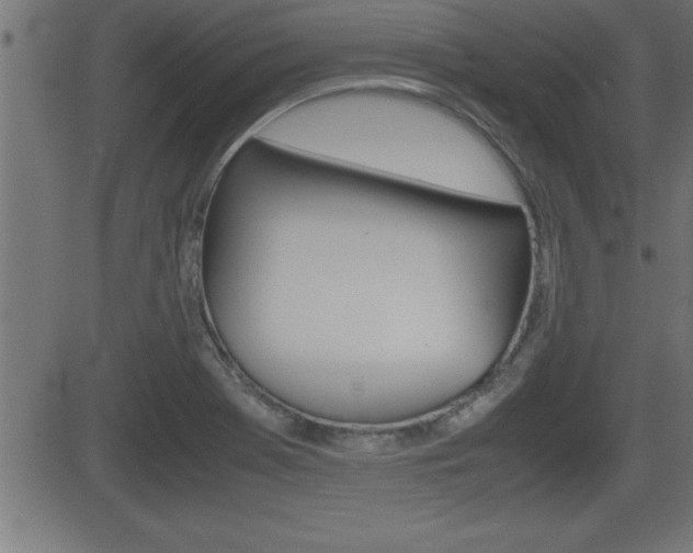 X0000081431369200701120908