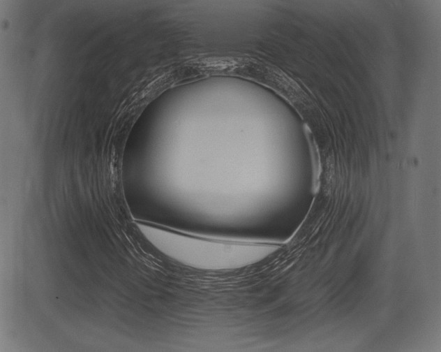 X0000081431394200701120907