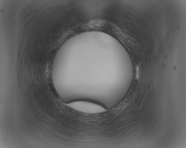 X0000081431395200701120907