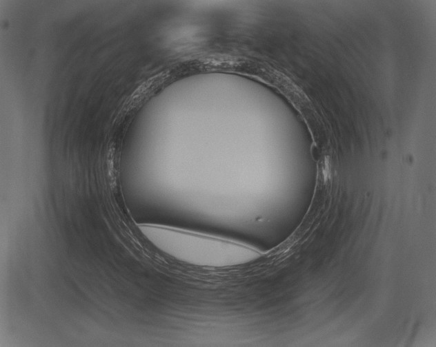 X0000081431396200701120907