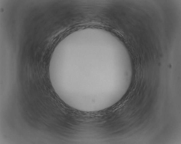 X0000081431398200701120907