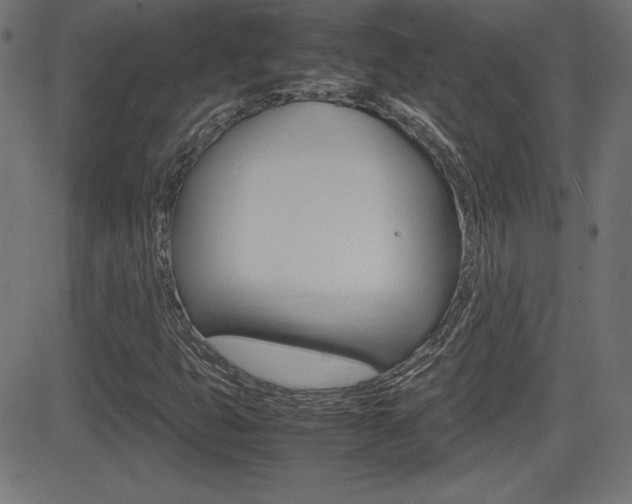 X0000081431399200701120907