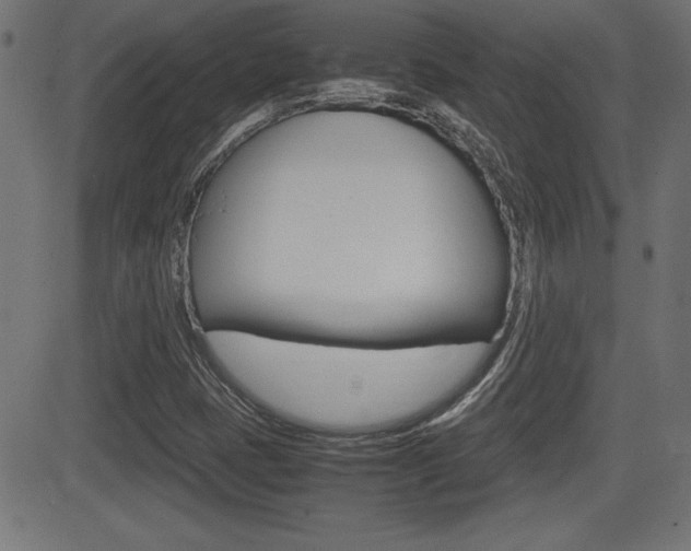 X0000081431401200701120907