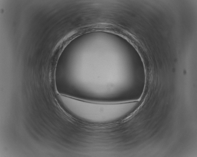 X0000081431402200701120907
