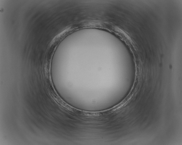 X0000081431403200701120907