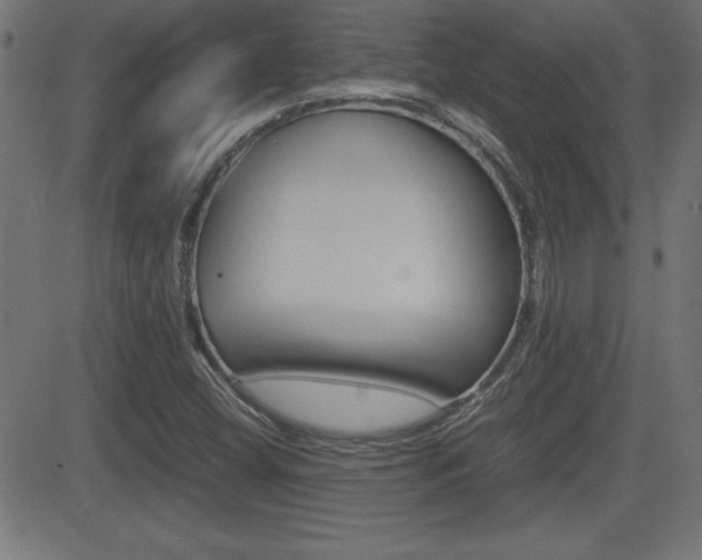 X0000081431404200701120907