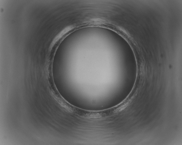 X0000081431410200701120907