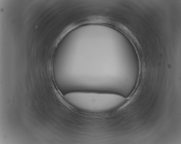 X0000081431417200701120907