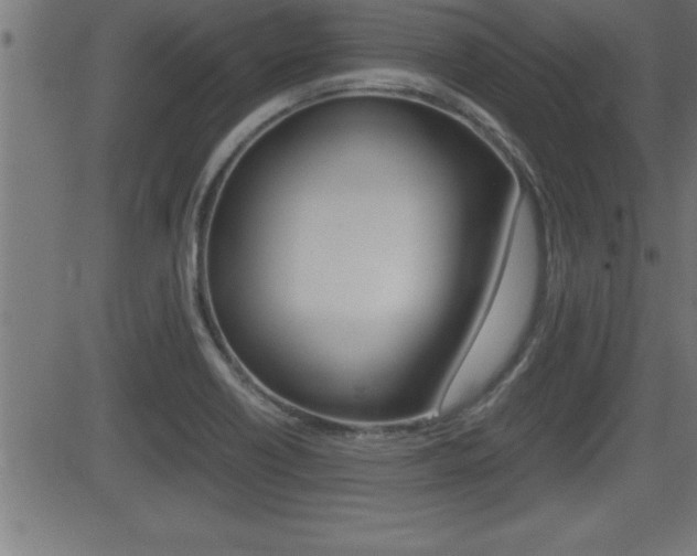 X0000081431418200701120907