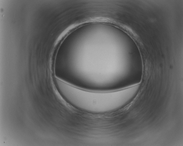 X0000081431422200701120908