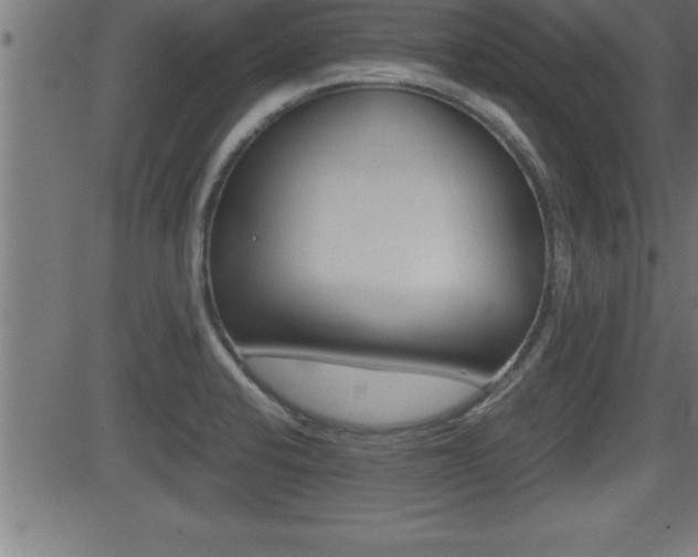 X0000081431424200701120908