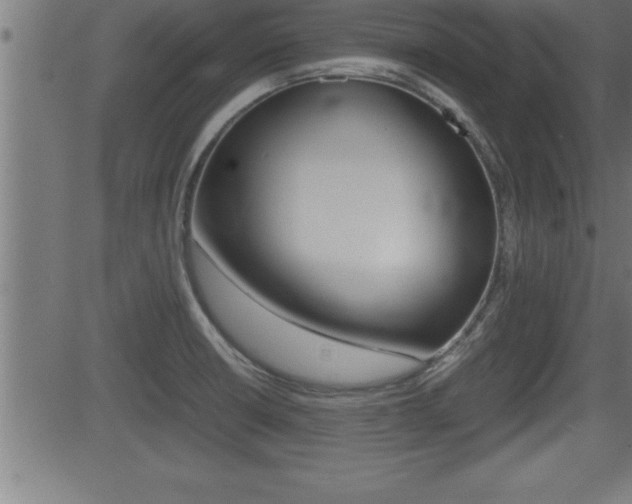 X0000081431426200701120908