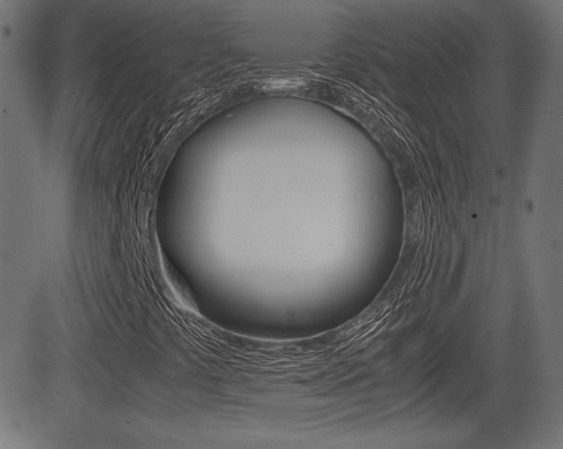 X0000081431441200701120907