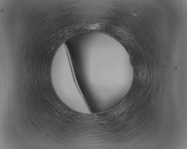 X0000081431442200701120907
