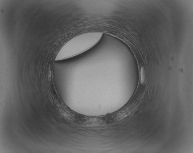 X0000081431443200701120907