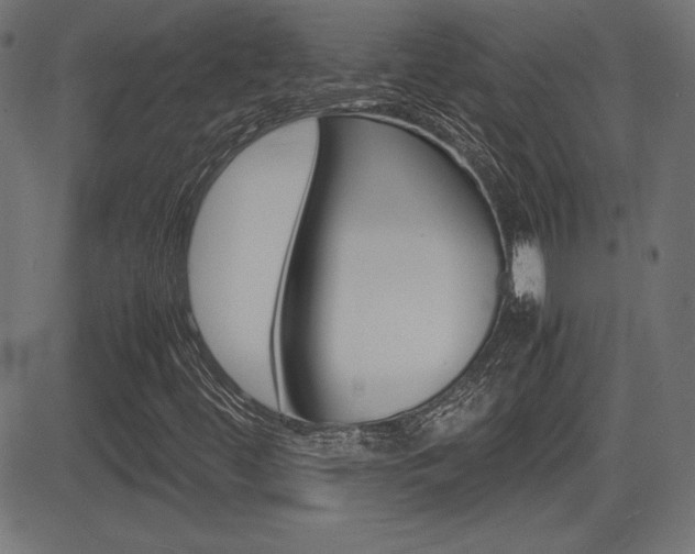 X0000081431444200701120907