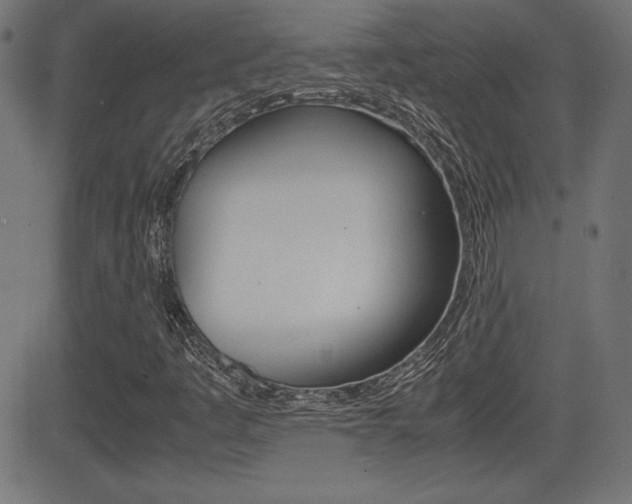 X0000081431445200701120907