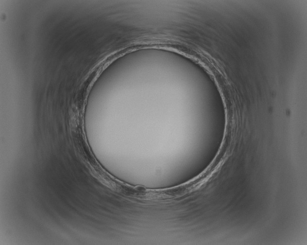 X0000081431449200701120907