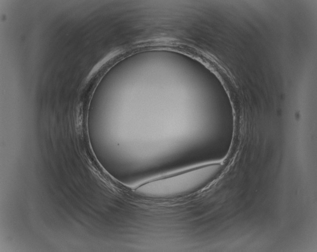 X0000081431450200701120907