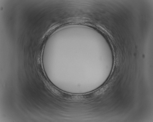 X0000081431451200701120907
