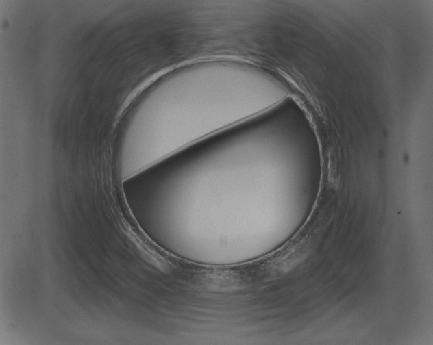 X0000081431452200701120907