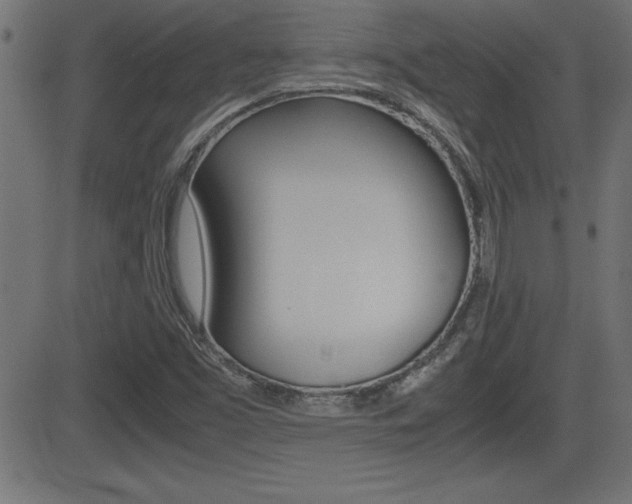 X0000081431453200701120907