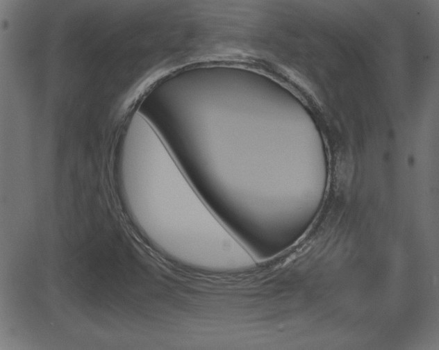 X0000081431455200701120907