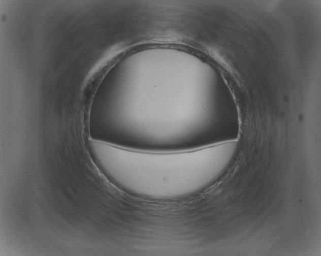 X0000081431456200701120907