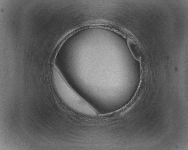 X0000081431457200701120907