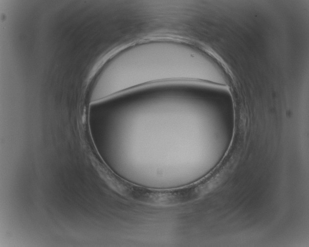 X0000081431461200701120907