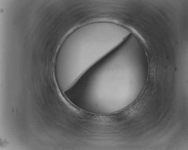 X0000081431476200701120906