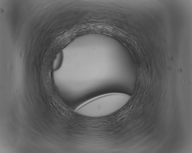X0000081431489200701120905