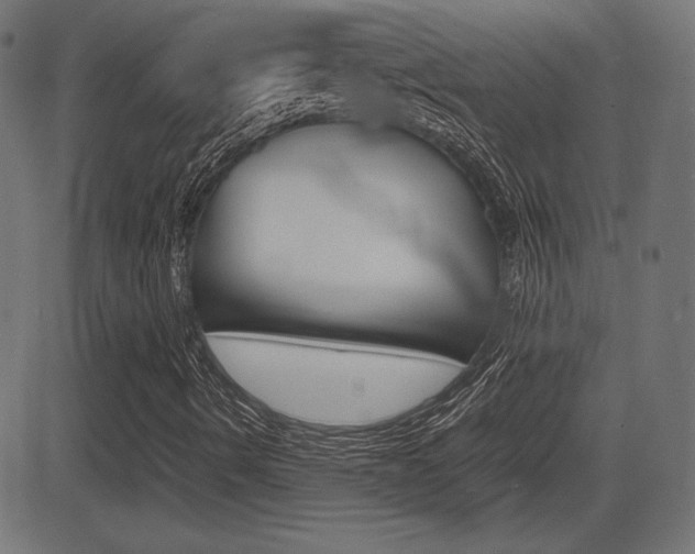 X0000081431490200701120905