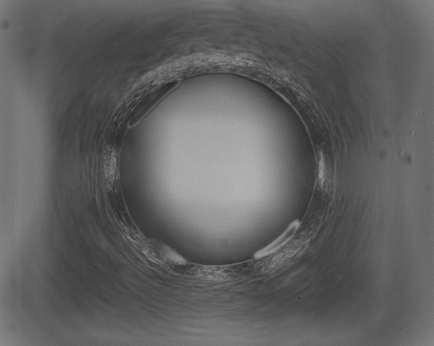 X0000081431492200701120905