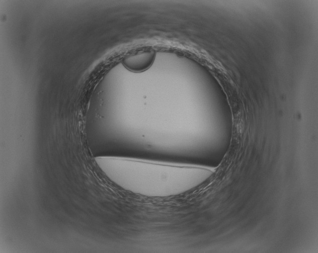 X0000081431495200701120906