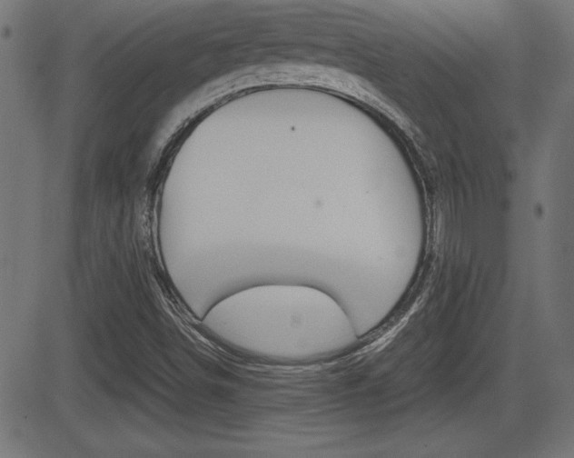 X0000081431498200701120906
