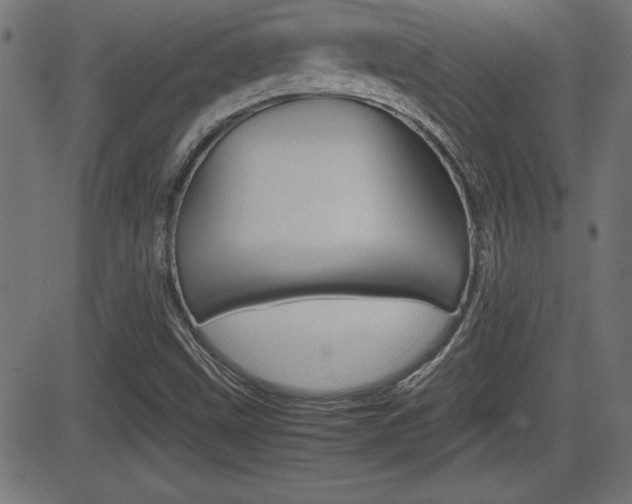X0000081431499200701120906