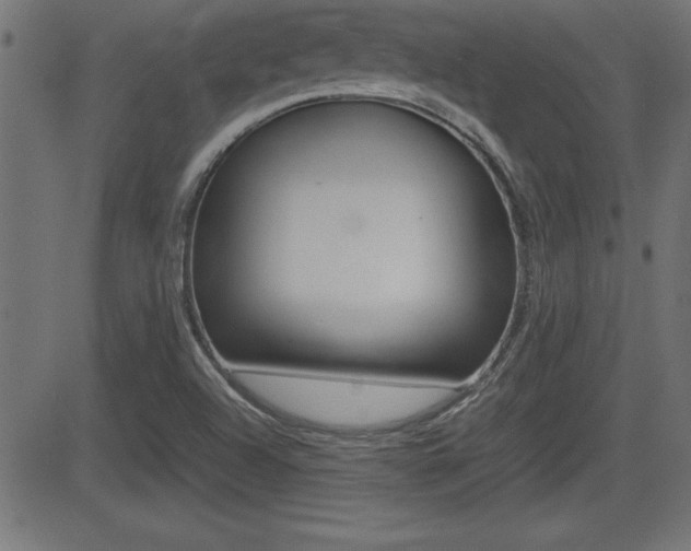 X0000081431504200701120906