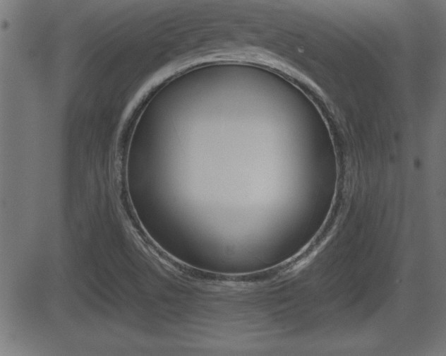 X0000081431506200701120906