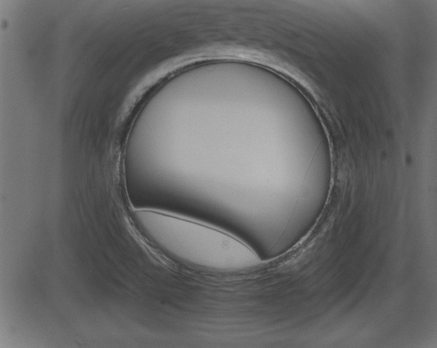 X0000081431507200701120906