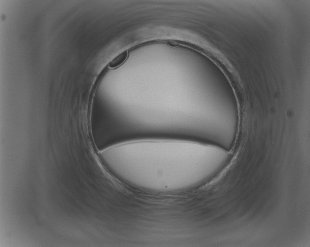 X0000081431513200701120906