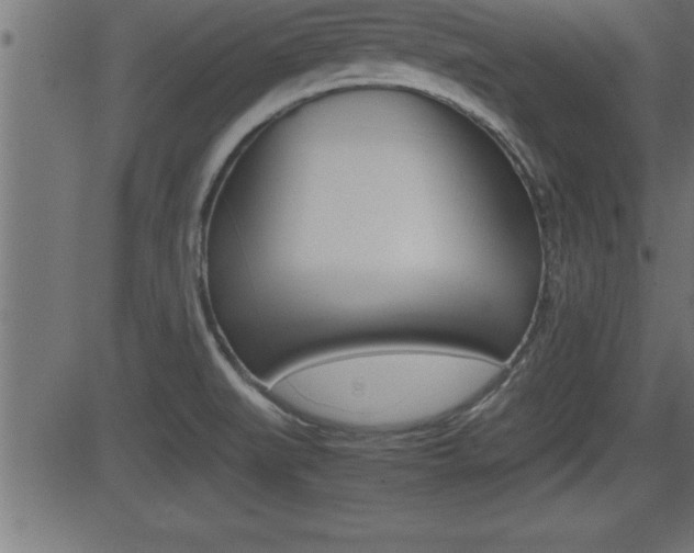 X0000081431519200701120906