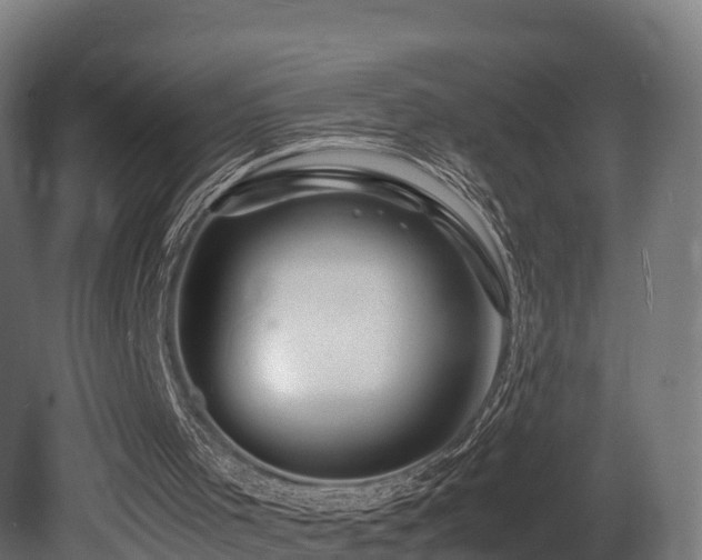X0000081430001200701121314