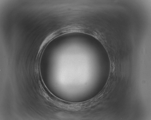 X0000081430004200701121314