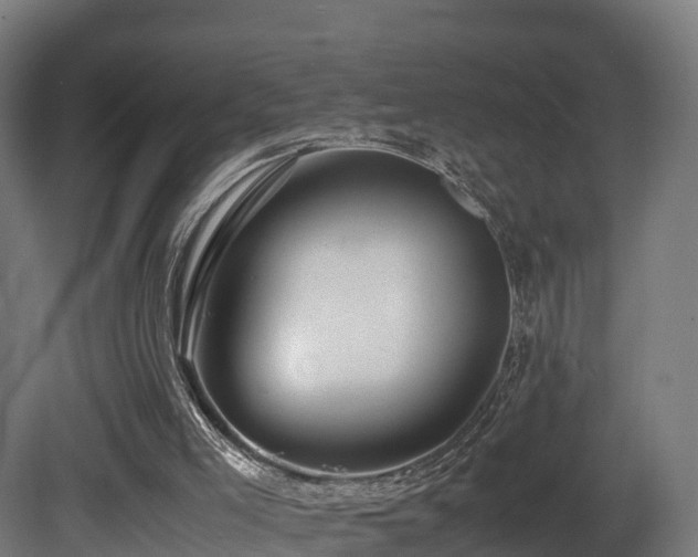 X0000081430005200701121314