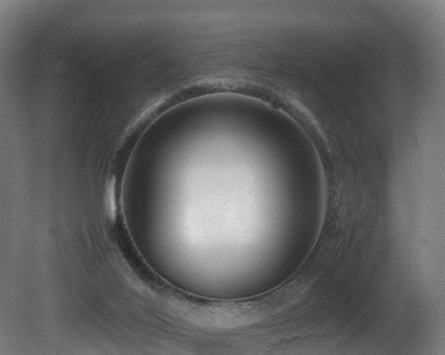 X0000081430020200701121314