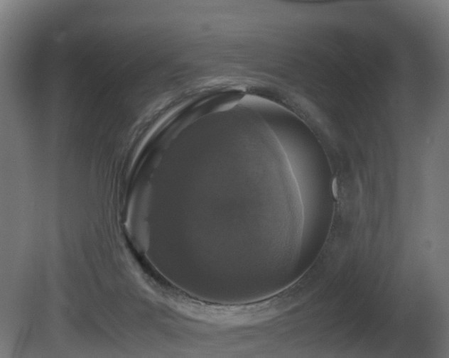 X0000081430023200701121314