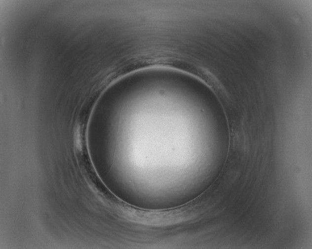 X0000081430026200701121314