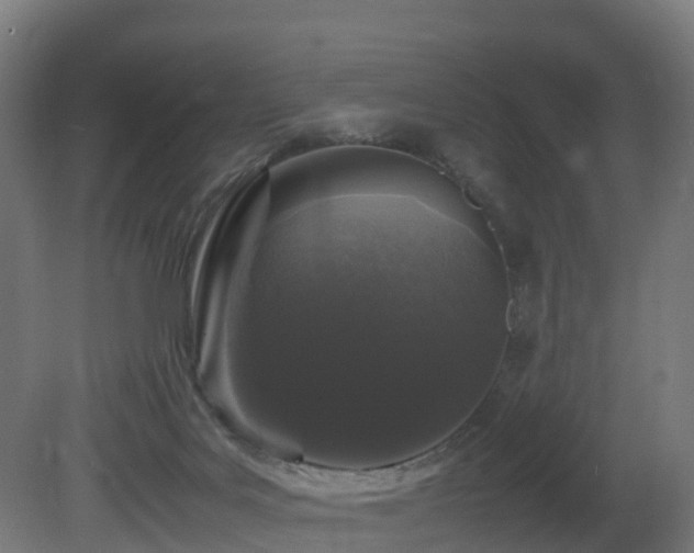 X0000081430027200701121314
