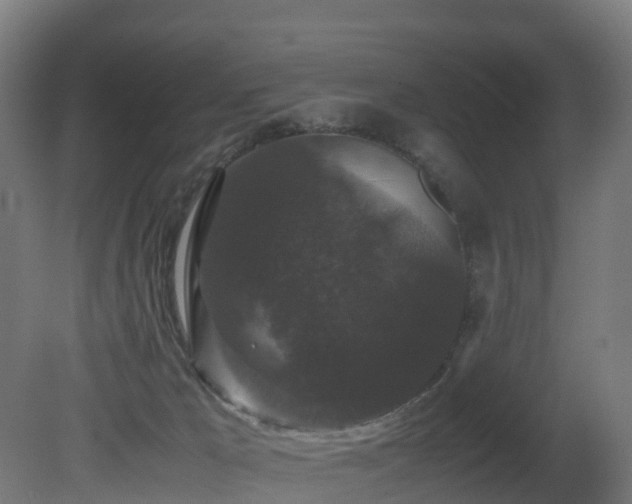 X0000081430029200701121314